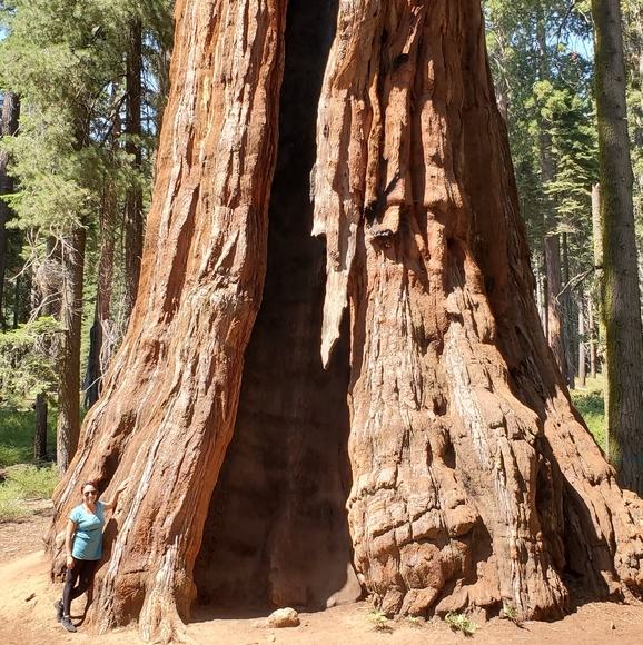 Meet your Posher, Rosy - Picture 16 of 16